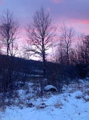 В одному із сіл Закарпаття зафіксували неймовірне природне явище – 01