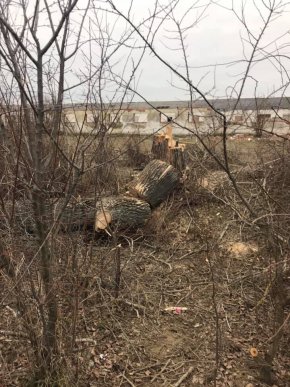 Піймали на гарячому: у Ракошині розгорівся конфлікт через дії ромів – 06