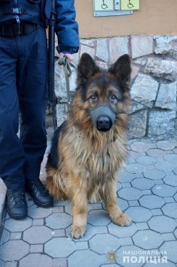 Нацгвардійці та поліцейські цілодобово патрулюватимуть Мукачево: деталі – 07