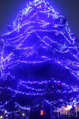 У Мукачеві засяяла головна новорічна ялинка міста – 15