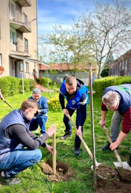 Фондом "Регіон Карпат NEEKA" висаджено понад 250 дерев – 02 Фондом "Регіон Карпат NEEKA" висаджено понад 250 дерев – 02