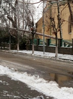 Наслідки негоди у Виноградові: повалені дерева, пошкоджені автомобілі та дах школи – 09