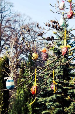 У Мукачеві з’явилося писанкове дерево – 09