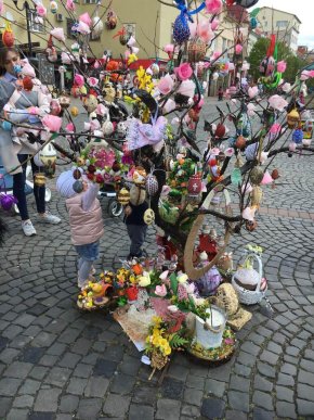 У центрі Мукачева з’явилося писанкове дерево – 01