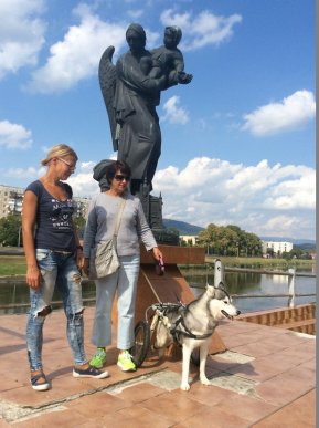 Небайдужі мукачівці врятували собаку, яку кинули помирати – 01