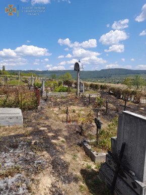 Пожежа на цвинтарі: рятувальники показали фото наслідків – 04