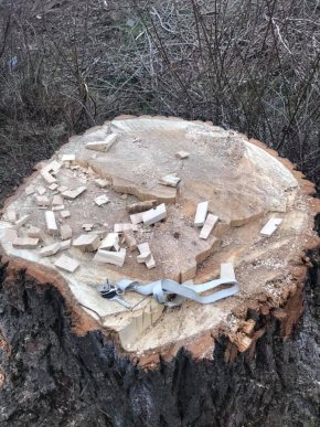 Піймали на гарячому: у Ракошині розгорівся конфлікт через дії ромів – 03