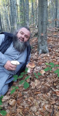 Знайшли 35 кг: закарпатці хизуються грибним врожаєм – 11