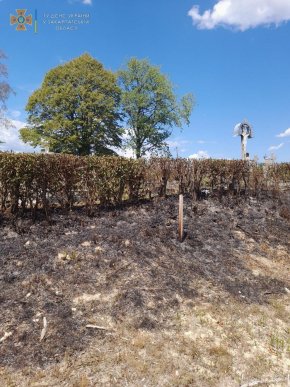 Пожежа на цвинтарі: рятувальники показали фото наслідків – 03