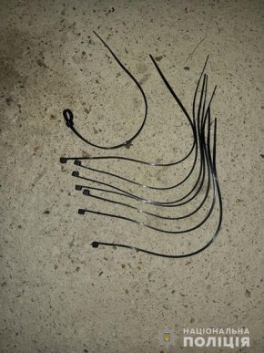 Розбійний напад на Закарпатті: чоловіки з пістолетами в руках увірвались в дім і погрожували вбити дитину – 03