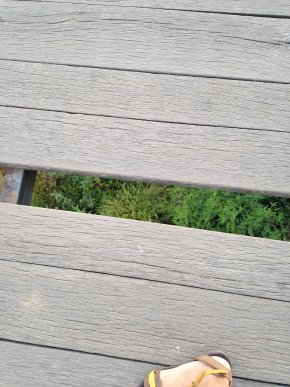 Ужгородці скаржаться на аварійний стан пішохідного мосту, який веде до Боздошського парку – 07