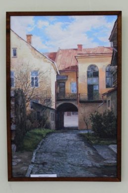 В обласному центрі показали "найправдивіший" пейзаж Ужгорода  – 05