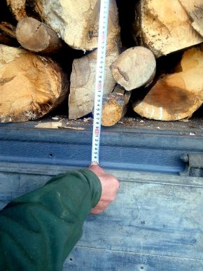 На Великоберезнянщині зловили набиту дровами вантажівку – 02