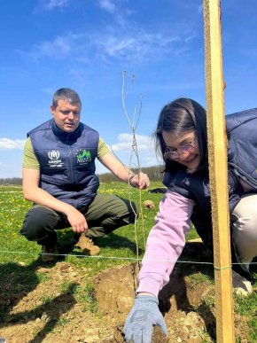 Фондом "Регіон Карпат NEEKA" висаджено понад 250 дерев – 03 Фондом "Регіон Карпат NEEKA" висаджено понад 250 дерев – 03