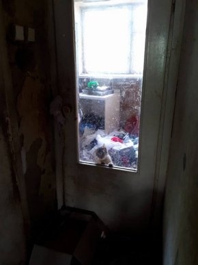 Ужгородці скаржаться на жінку, яка перетворила свою квартиру на сміттєзвалище, – соцмережі – 06