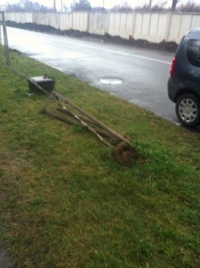 Вночі у Мукачеві вандали наробили біди: пошкодили молоді саджанці дерев – 02