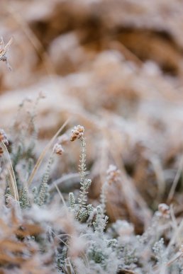 Картинки на телефон: обирайте нову заставку з зимовим вайбом – 21