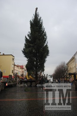 У Мукачеві встановлюють головну новорічну ялинку міста (ФОТО) – 11