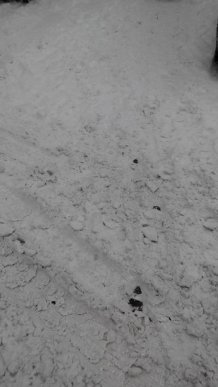 Рух на головних вулицях Мукачева ускладнився через сильні снігопади – 03