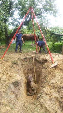 Спецоперація на Виноградівщині: рятувальники діставали із ями коня – 03