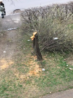 У Мукачеві в мікрорайоні Підгоряни бабуся здійняла переполох своєю витівкою – 06 У Мукачеві в мікрорайоні Підгоряни бабуся здійняла переполох своєю витівкою – 06