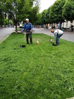 У центрі Мукачева висаджують квіти – 03