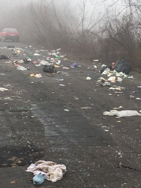 Зранку закарпатців вразила неприємна картина – 01