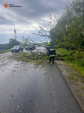 На трасі «Мукачево — Львів» вітер повалив близько 20 дерев: є постраждалі – 04 На трасі «Мукачево — Львів» вітер повалив близько 20 дерев: є постраждалі – 04