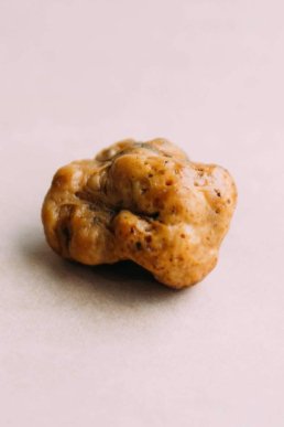 На Перечинщині знайшли гриба, який коштує кілька тисяч доларів – 05