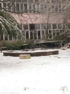 Наслідки негоди у Виноградові: повалені дерева, пошкоджені автомобілі та дах школи – 06