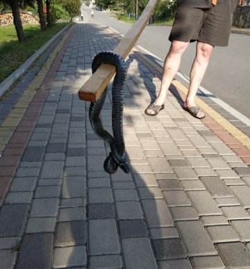 "Сичала так, що страхи брали", – чоловік виявив у себе в будинку велику змію – 01