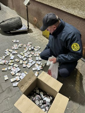 Собака допоміг: митники розповіли про випадок, що стався на кордоні з Румунією – 03 Собака допоміг: митники розповіли про випадок, що стався на кордоні з Румунією – 03