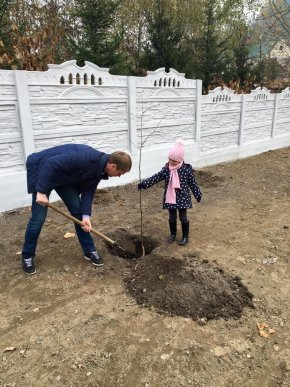 У парку "Дружба" в Хусті, який планують відкрити весною 2016 року, висадили дерева – 02