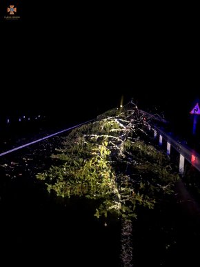 Рятувальники показали наслідки негоди, яка вирувала 27 жовтня на Закарпатті – 03