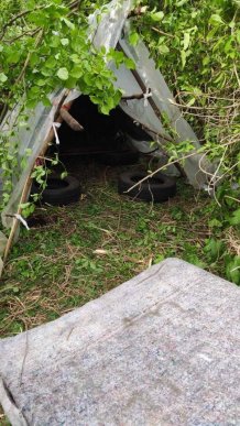 Історія закарпатки шокувала всю країну – 11