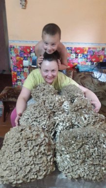 На Закарпатті люди назбирали унікальних грибів-квочок – 01