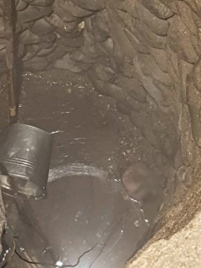 У Хусті мати з сином вбили чоловіка, тіло скинули у колодязь, засипали його і забетонували – 02