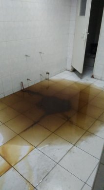 У мережі показали жахливий стан туалету на КПП "Тиса" – 02