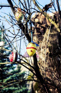 У Мукачеві з’явилося писанкове дерево – 05