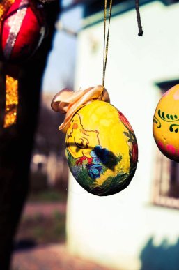 У Мукачеві з’явилося писанкове дерево – 06