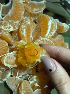 Мандарини "із сюрпризом": жінка розповіла про неприємний випадок – 02