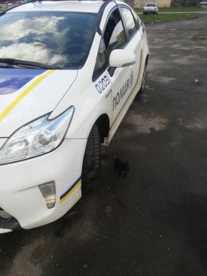 Патрульні розповіли історію про порятунок цуценяти у Мукачеві – 03