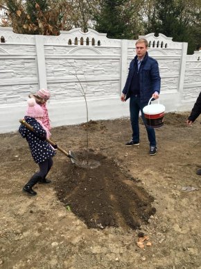 У парку "Дружба" в Хусті, який планують відкрити весною 2016 року, висадили дерева – 12