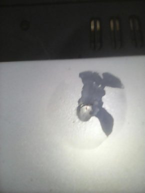 Невідомі обстріляли будинок та пошкодили автомобіль ще одного закарпатського прикордонника – 02