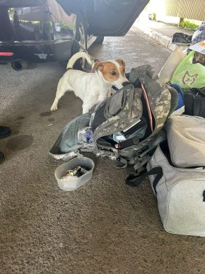 На кордоні зупинили молоду жінку, у її авто виявили дещо небезпечне – 01