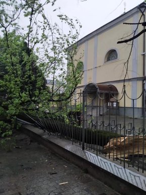 У Мукачеві шквальний вітер повалив дерева  – 05