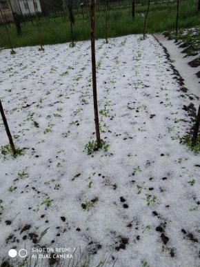 Одне із сіл Закарпаття сьогодні засипало градом – 04