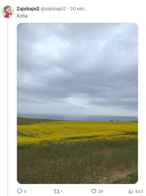 «Усі на поле»: що масово квітне в Україні після сакур – 03