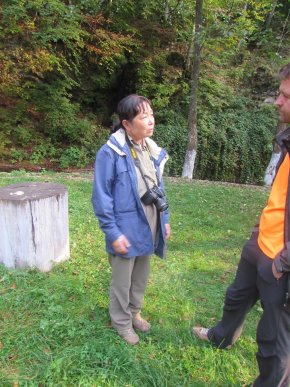 Букові праліси Закарпаття можуть стати частиою Всесвітньої спадщини ЮНЕСКО – 02