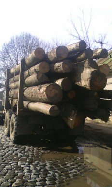 Патрульні зреагували на інформацію журналістів та затримали вантаж з "лівим" лісом – 02 Патрульні зреагували на інформацію журналістів та затримали вантаж з "лівим" лісом – 02